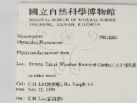 登錄號:F0018209藏品圖，第2張