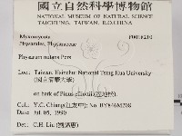 登錄號:F0018210藏品圖，第2張