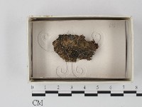 登錄號:F0018211藏品圖，第1張