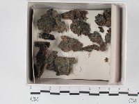 登錄號:F0018212藏品圖，第1張