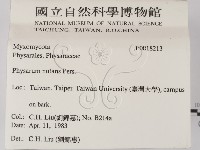 登錄號:F0018213藏品圖，第2張