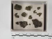 登錄號:F0018214藏品圖，第1張