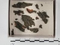 登錄號:F0018216藏品圖，第1張