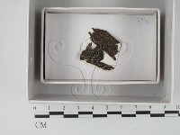 登錄號:F0018217藏品圖，第1張