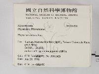 登錄號:F0018218藏品圖，第2張