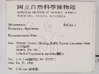 登錄號:F0018219藏品圖，第2張
