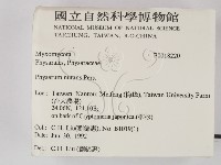 登錄號:F0018220藏品圖，第2張