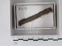 登錄號:F0018220藏品圖，第1張