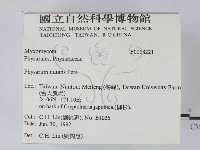 登錄號:F0018221藏品圖，第2張