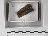 登錄號:F0018221藏品圖，第1張