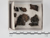 登錄號:F0018224藏品圖，第1張