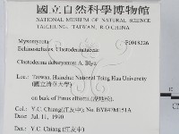 登錄號:F0018226藏品圖，第2張