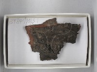 登錄號:F0018226藏品圖，第1張
