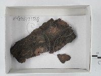 登錄號:F0018228藏品圖，第1張