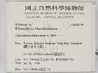 登錄號:F0018229藏品圖，第2張