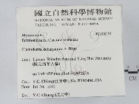 登錄號:F0018230藏品圖，第2張