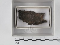 登錄號:F0018230藏品圖，第1張