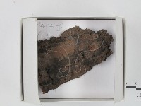 登錄號:F0018232藏品圖，第1張