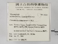 登錄號:F0018233藏品圖，第2張