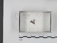 登錄號:F0018233藏品圖，第1張