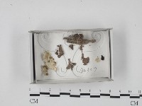 登錄號:F0018234藏品圖，第1張