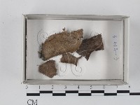 登錄號:F0018236藏品圖，第1張