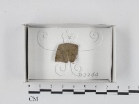 登錄號:F0018238藏品圖，第1張