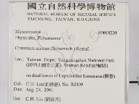 登錄號:F0018239藏品圖，第2張