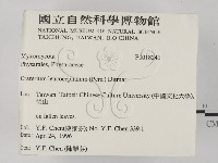 登錄號:F0018241藏品圖，第2張