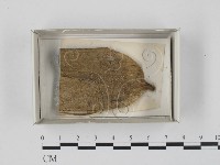 登錄號:F0018241藏品圖，第1張