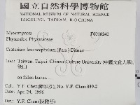 登錄號:F0018242藏品圖，第2張