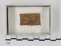 登錄號:F0018243藏品圖，第1張
