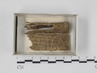 登錄號:F0018244藏品圖，第1張