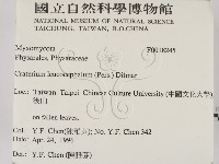 登錄號:F0018245藏品圖，第2張