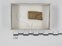 登錄號:F0018245藏品圖，第1張