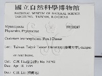 登錄號:F0018247藏品圖，第2張