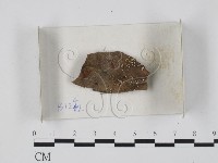登錄號:F0018247藏品圖，第1張