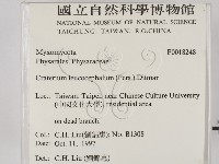 登錄號:F0018248藏品圖，第2張