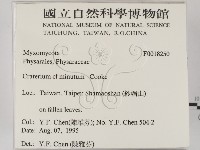 登錄號:F0018250藏品圖，第2張