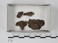 登錄號:F0018253藏品圖，第1張