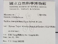 登錄號:F0018254藏品圖，第2張