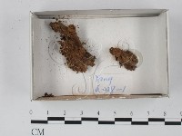 登錄號:F0018254藏品圖，第1張