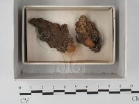 登錄號:F0018257藏品圖，第1張