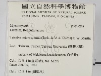 登錄號:F0018258藏品圖，第2張