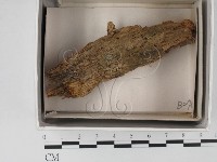 登錄號:F0018258藏品圖，第1張