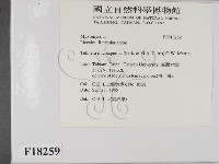 登錄號:F0018259藏品圖，第2張