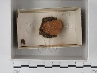 登錄號:F0018260藏品圖，第1張