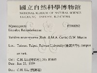 登錄號:F0018262藏品圖，第2張