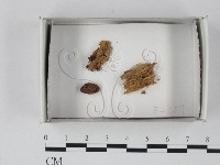 登錄號:F0018263藏品圖，第1張