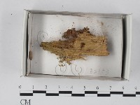 登錄號:F0018265藏品圖，第1張